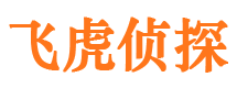 元阳婚外情调查取证